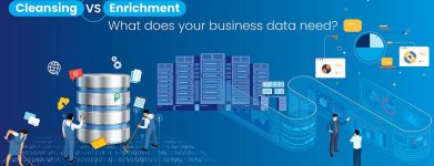 Data Cleansing vs. Enrichment: Which Does Your Business Need?